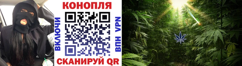 Купить закладку ГАШИШ  А ПВП  Меф мяу мяу  Шенкурск