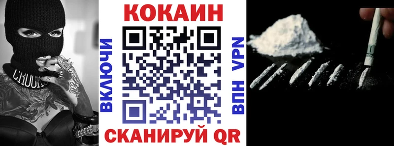 Купить закладки  Шенкурск  КОКАИН FishScale 