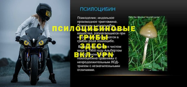 СК Володарск